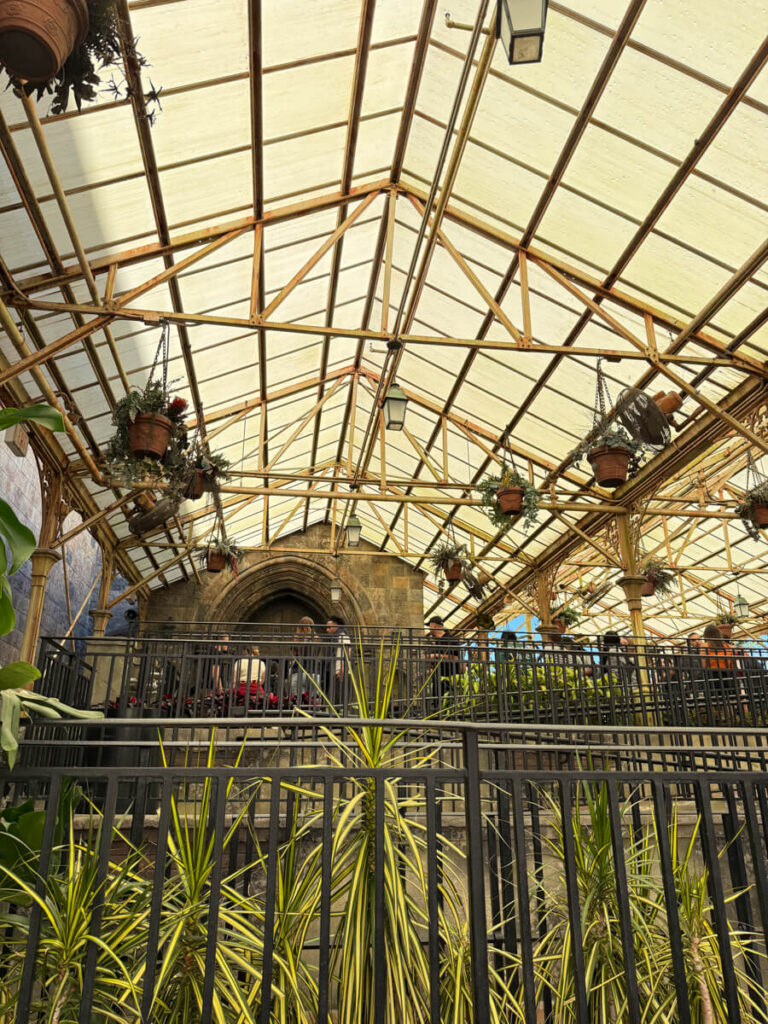 Guests wait in line beneath a glass greenhouse filled with potted magical plants hanging overhead. This outdoor section of the queue for Forbidden Journey brings Herbology class vibes to life.