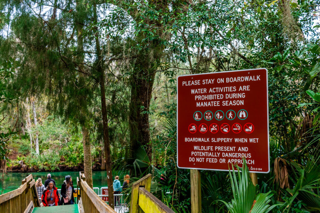 Brown safety sign along the boardwalk at Blue Spring State Park reads Please stay on boardwalk water activities are prohibited during manatee season boardwalk slippery when wet wildlife present and potentially dangerous do not feed or approach. Visitors walk down the wooden path toward the spring in the background.