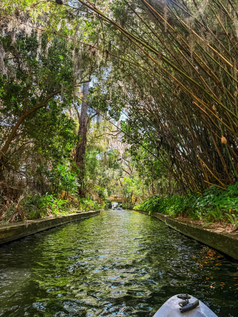 Narrow canal in Winter Park Florida viewed from a kayak passing under tall bamboo and trees draped with Spanish moss as sunlight filters through dense greenery above the water.
