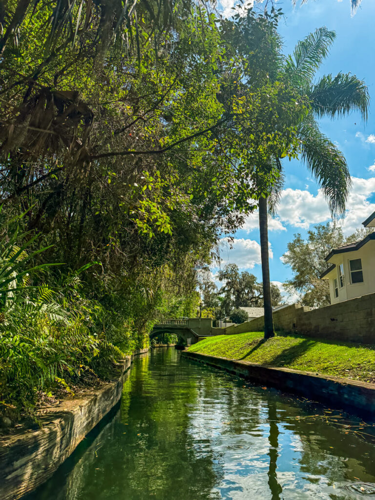 Quiet canal in Winter Park Florida bordered by tropical greenery and a grassy bank with a tall palm tree beside a house as the water leads toward a small arched bridge.