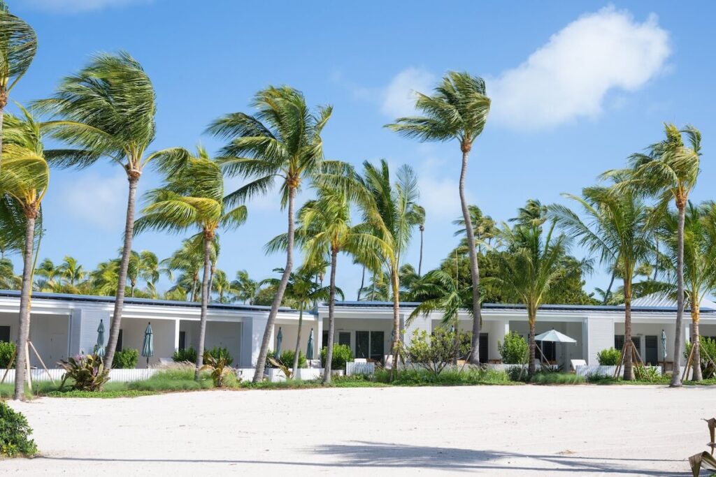 white sandy beach with bungalows and palm trees in the background in front of a blue sky at the Islander Resort in Islamorada, Florida, one of the top pet-friendly resorts in the Keys