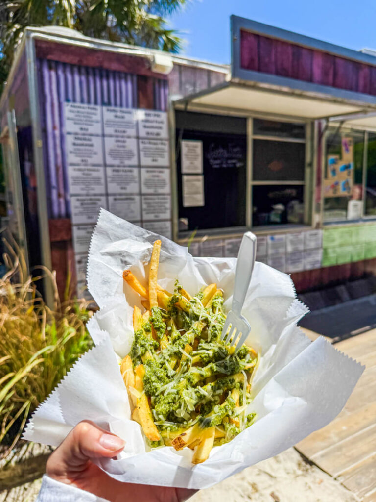Pesto parmesan fries from the food truck at Wekiva Island