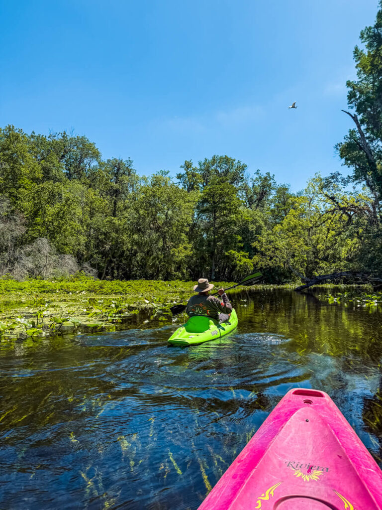 Kayaker paddling over clear water and eelgrass on the Wekiva River, seen from a pink kayak